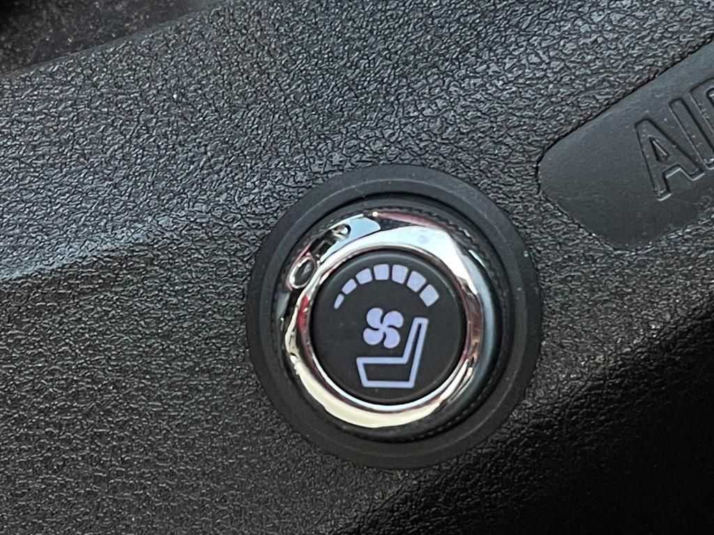 BMW]5시리즈 (G30) 530i M 스포츠