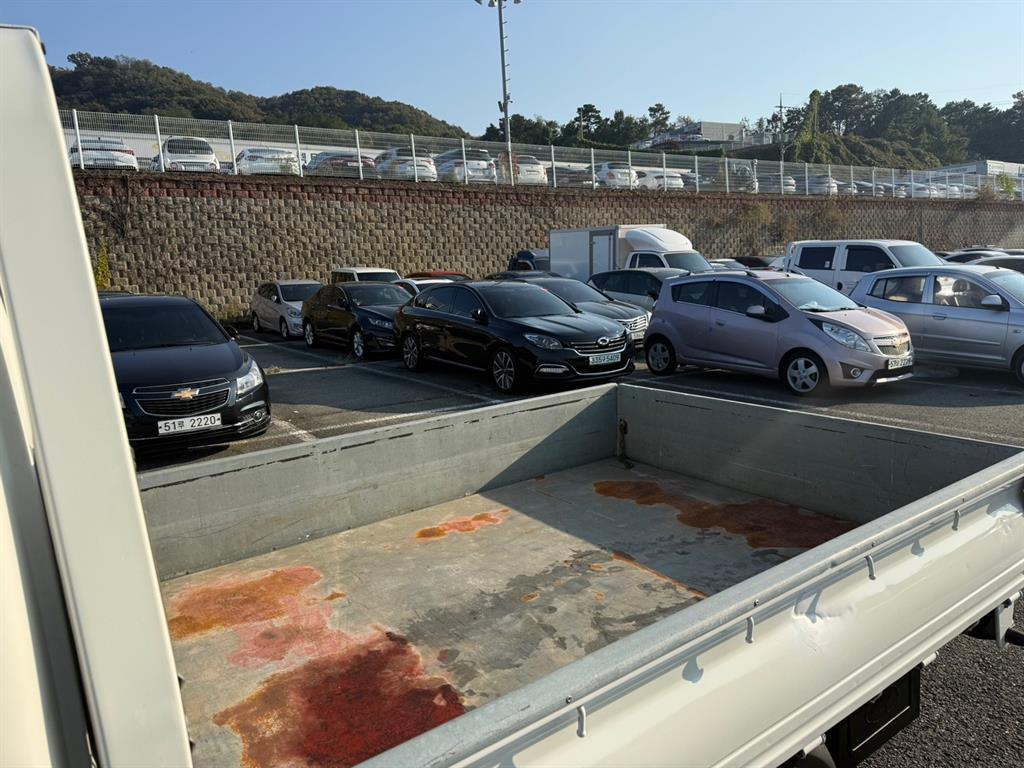 현대 포터2 1톤 카고 6