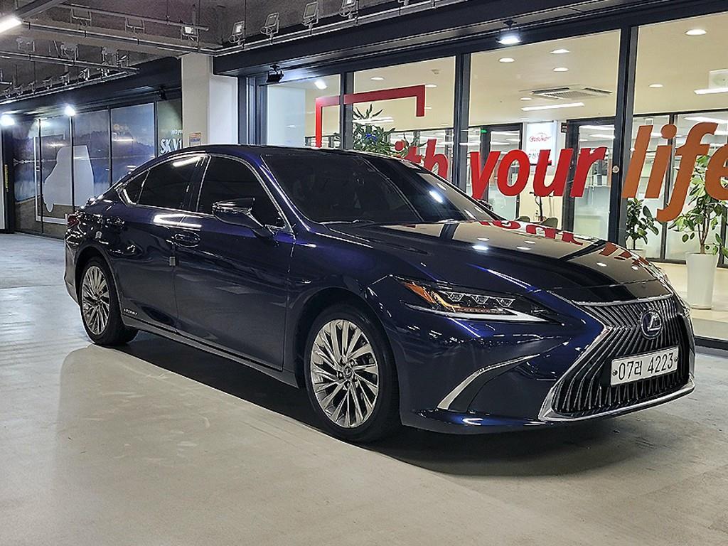 국산차 리스트 차량 이미지