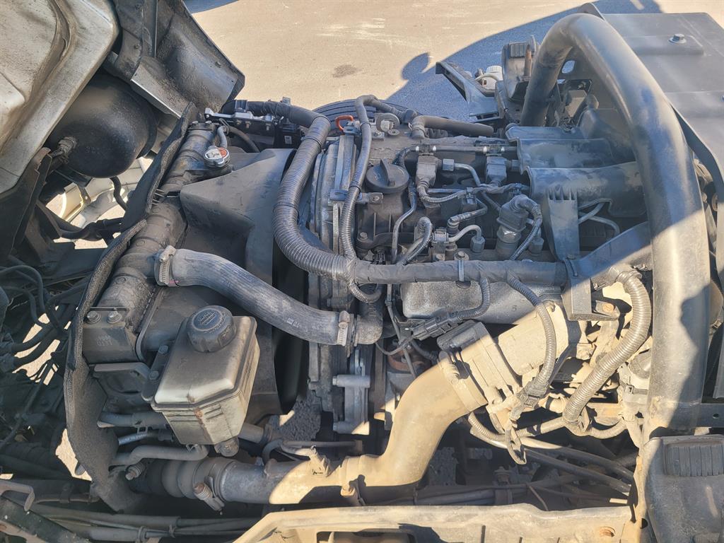 현대 홈로리 마이티큐티 5