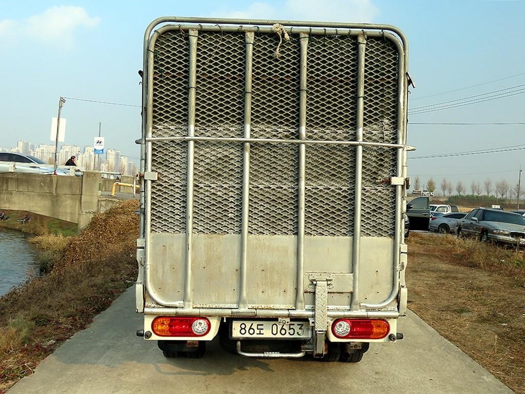 현대 포터2 1톤 카고 3