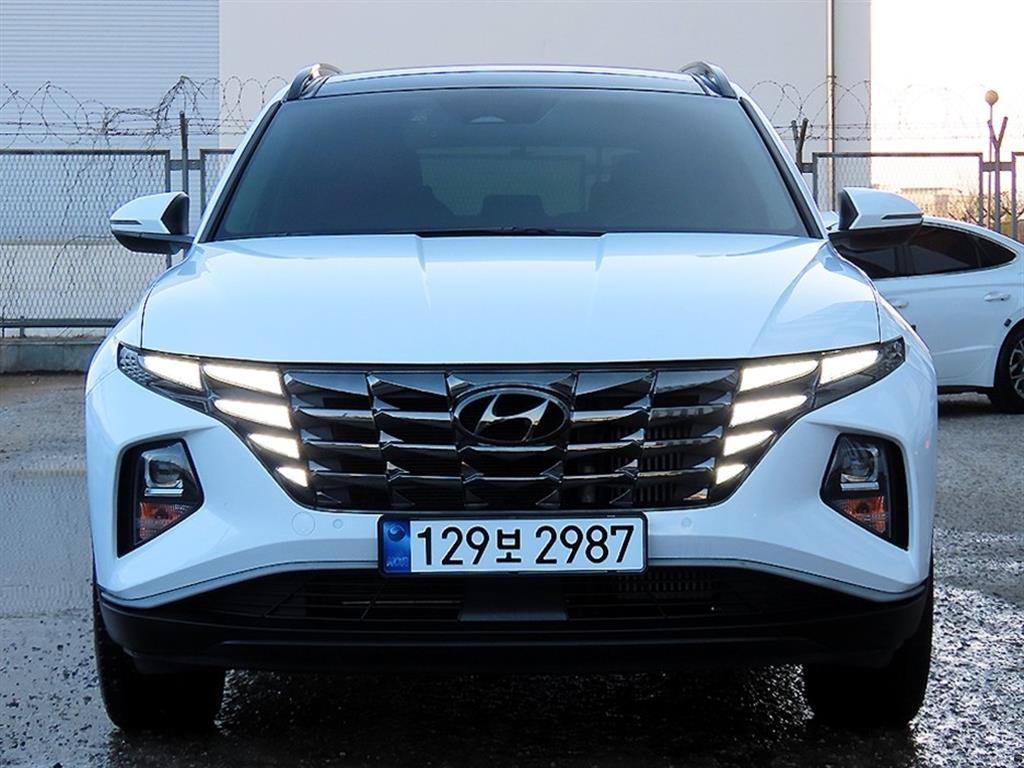 투싼 (NX4) 가솔린 1.6 터보 2WD 프리미엄 2022년식