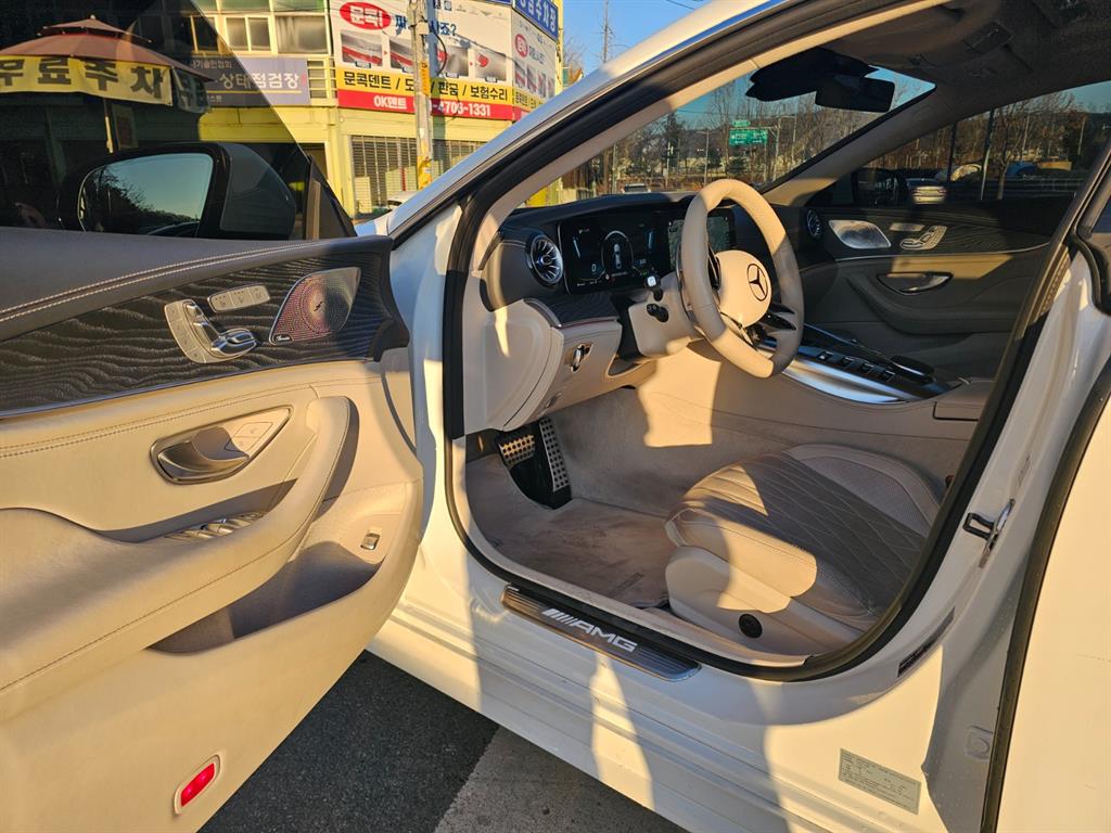 Mercedes-Benz AMG GT 4 Duo 43 4MATIC+ 10