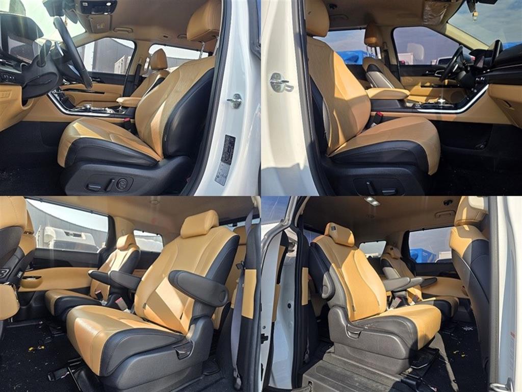 Kia Carnival Diesel Noblesse 10