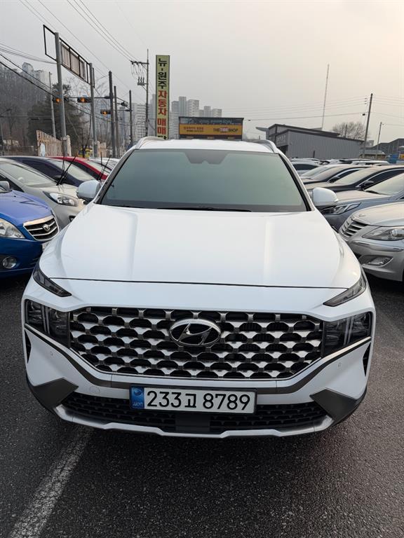 더 뉴 싼타페 가솔린 2.5T 2WD 프레스티지 2021년식