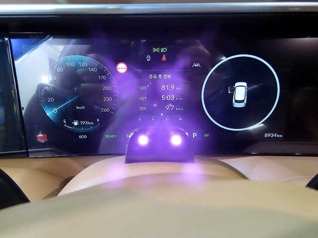 Hyundai Palisade HEV 2.5T 4WD Calligraphy 10