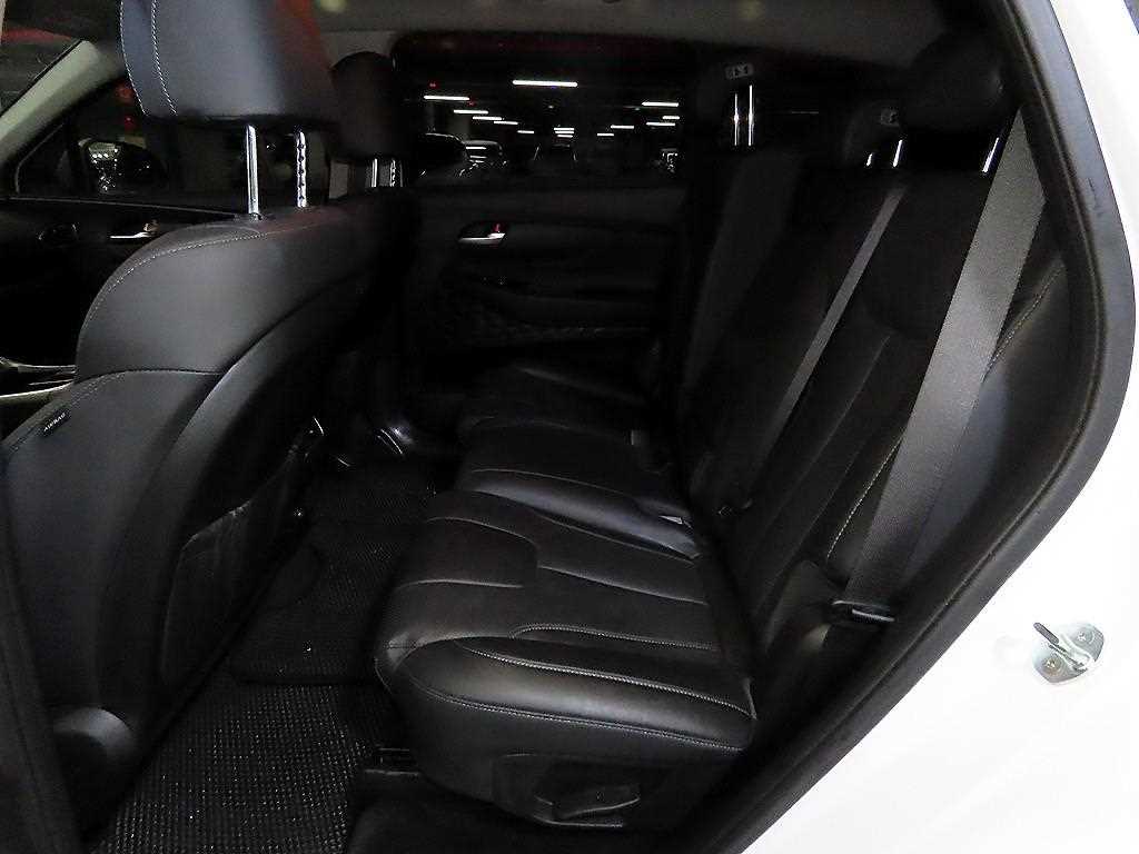 Hyundai Santa Fe Diesel 2.2 2WD Premium Choice 8