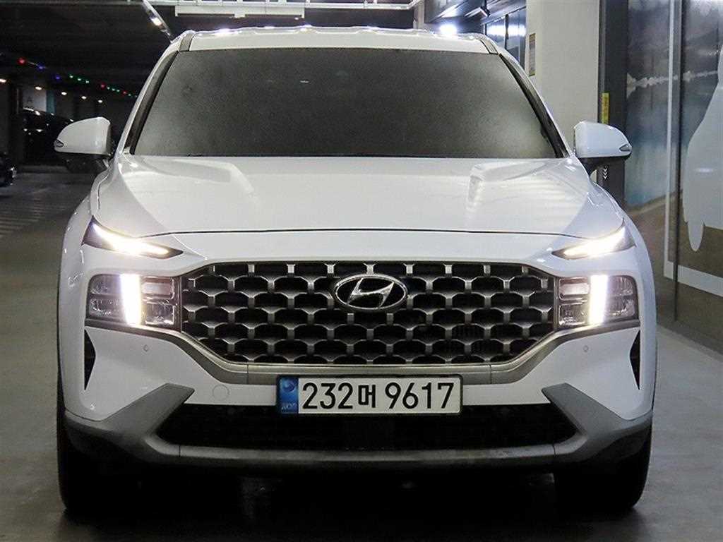 Hyundai Santa Fe Diesel 2.2 2WD Premium Choice 3