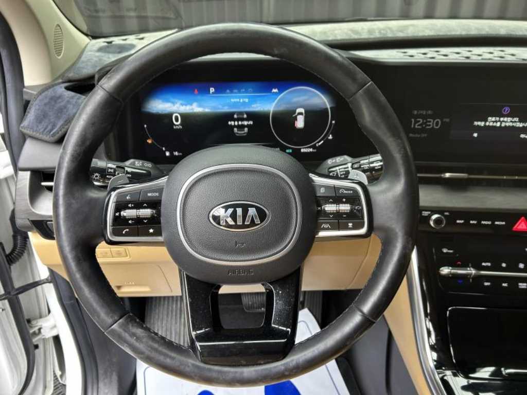 Kia Carnival Gasoline Signature 10