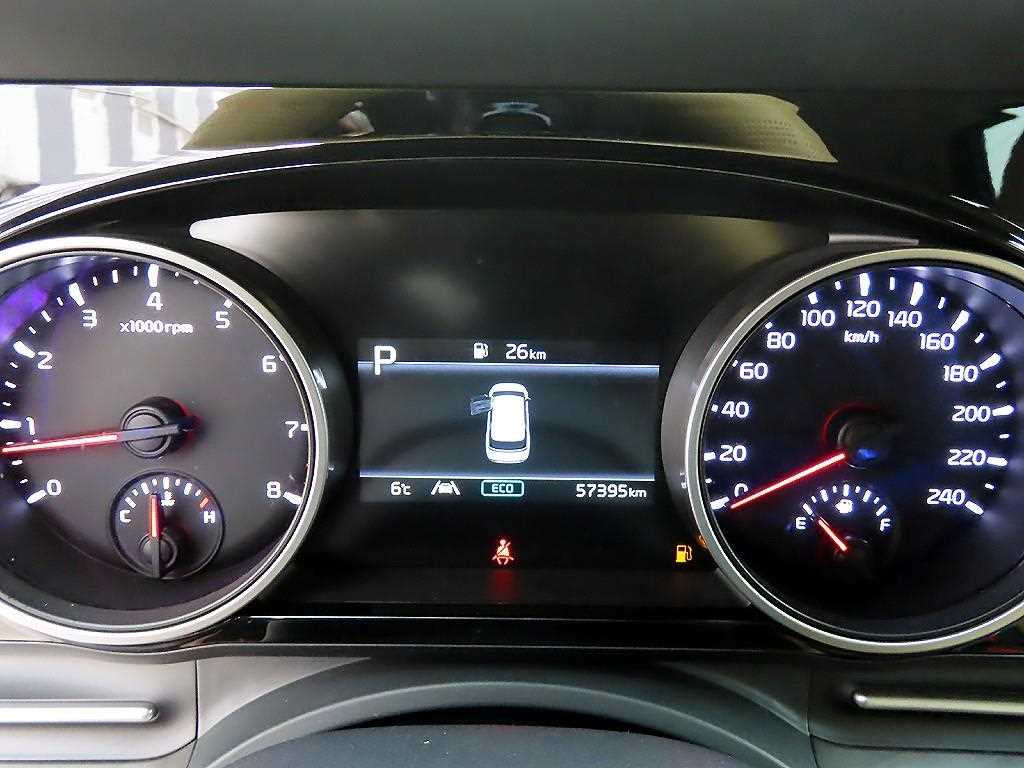 Kia Carnival Gasoline Noblesse 10