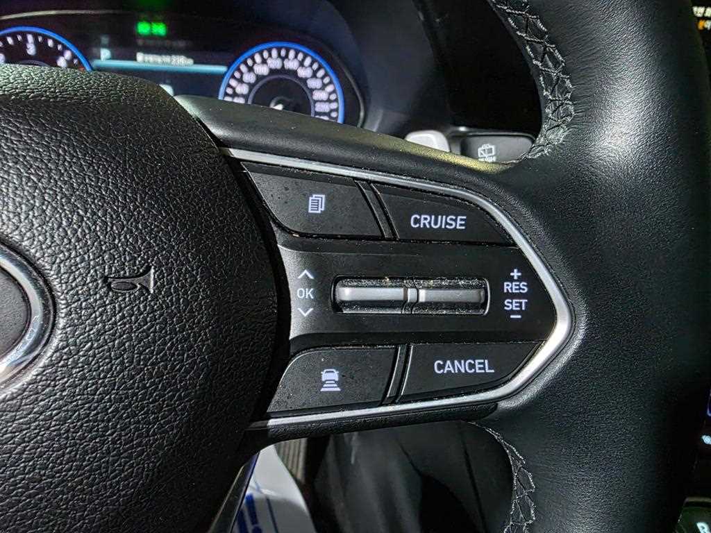 Hyundai Palisade Diesel 2.2 2WD Exclusive 10