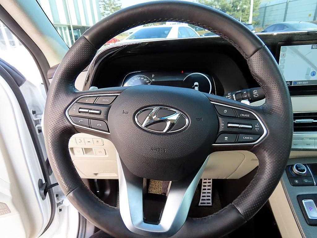 Hyundai Palisade Diesel 2.2 2WD Calligraphy 9