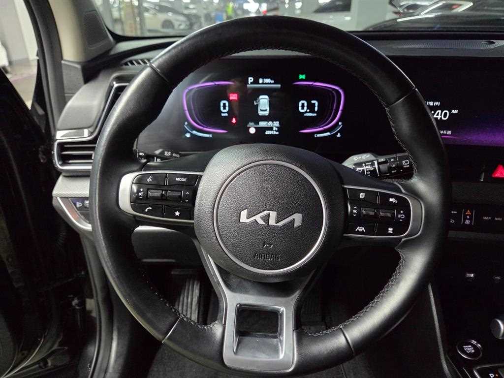 Kia Sportage 1.6 Gasoline 4WD Prestige 10