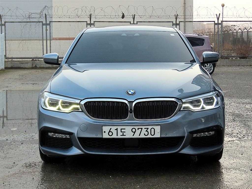 5시리즈 (G30) 530i M 스포츠 플러스 2017년식