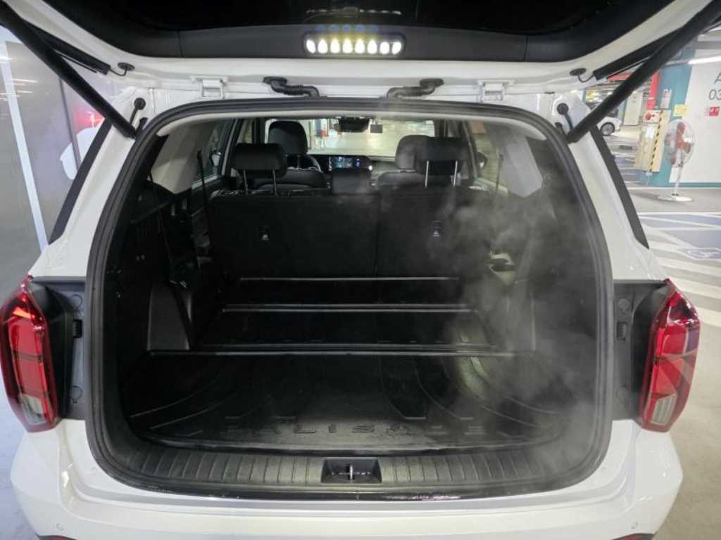 Hyundai Palisade Gasoline 3.8 2WD Prestige 7