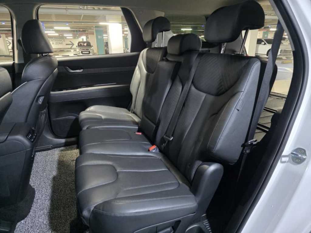 Hyundai Palisade Gasoline 3.8 2WD Prestige 10