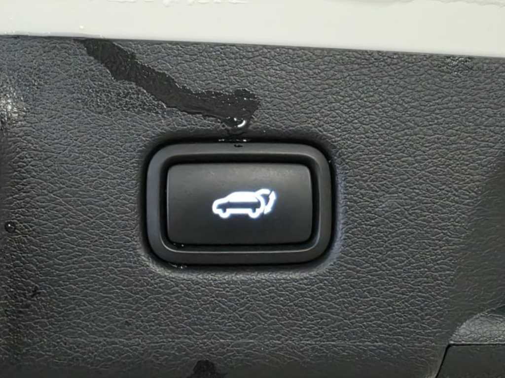 Hyundai Palisade Gasoline 3.8 2WD Prestige 8