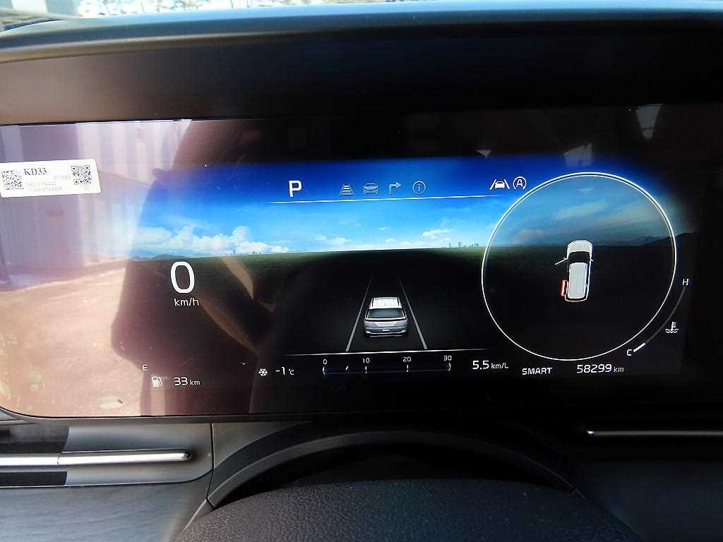 Kia Carnival Diesel Signature 10