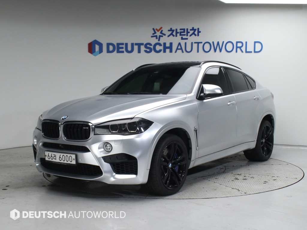 X6 M (E71) X6 M 2016년식