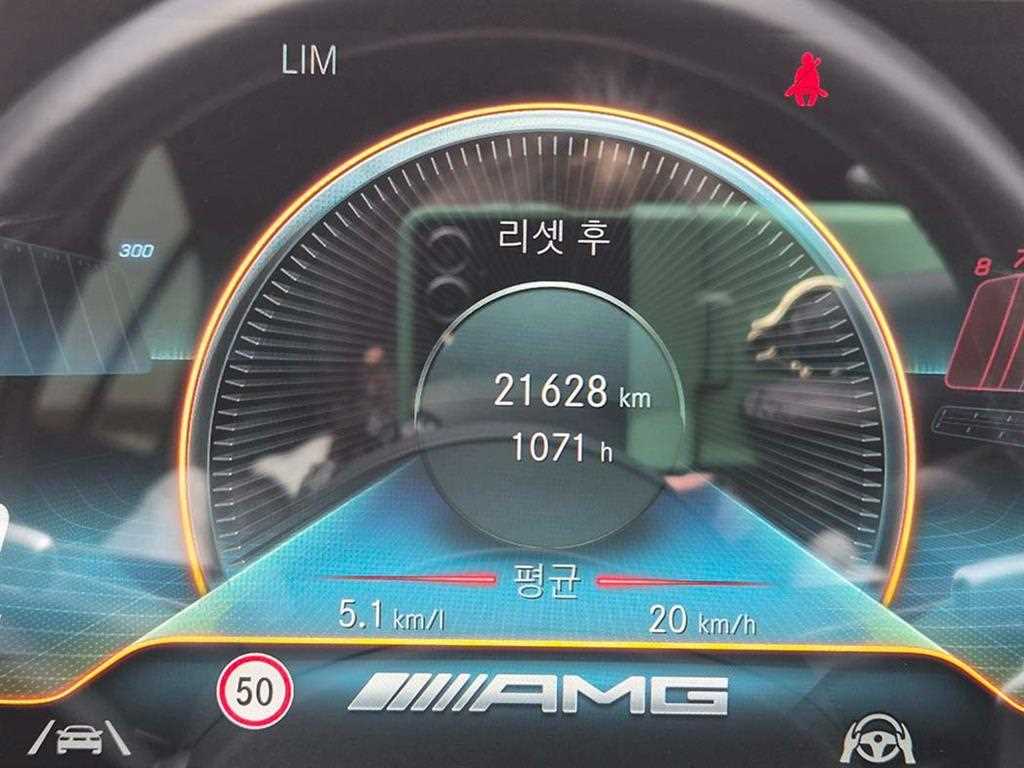 Mercedes-Benz AMG GT 4 Duo 43 4MATIC+ 10