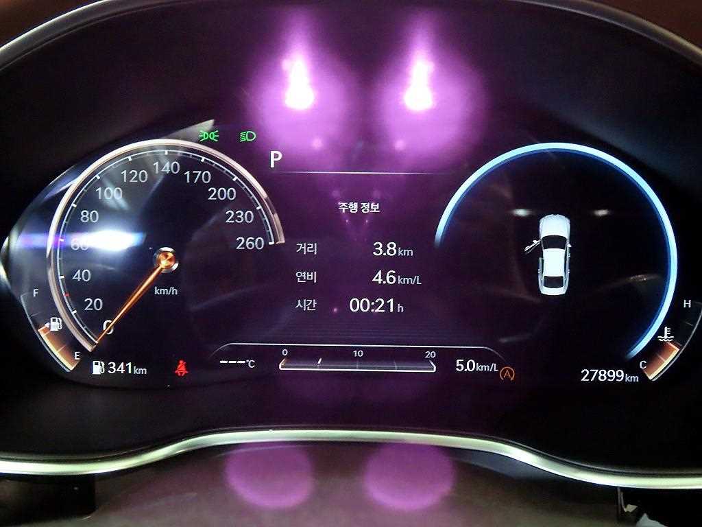 Genesis G80 2.5 Gasoline Turbo AWD Base Type 10