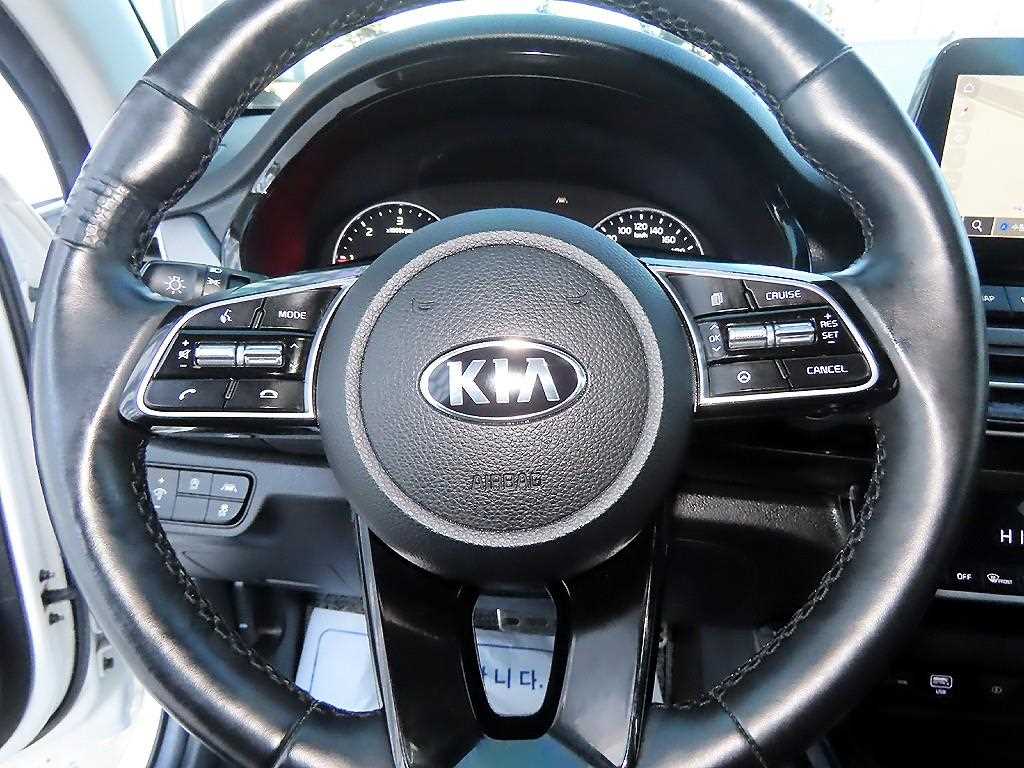 Kia Seltos Diesel 1.6 2WD Signature 8