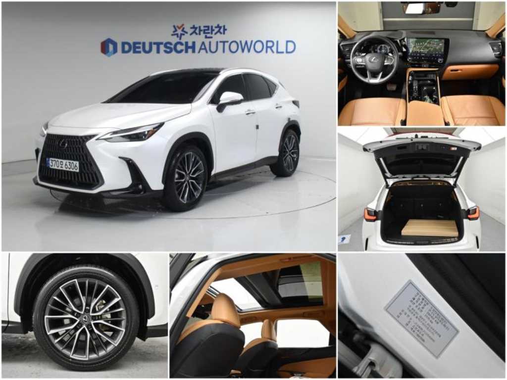 국산차 리스트 차량 이미지