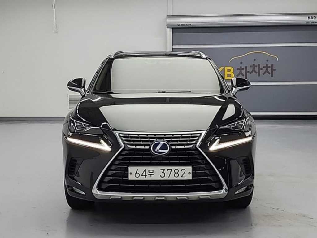 국산차 리스트 차량 이미지