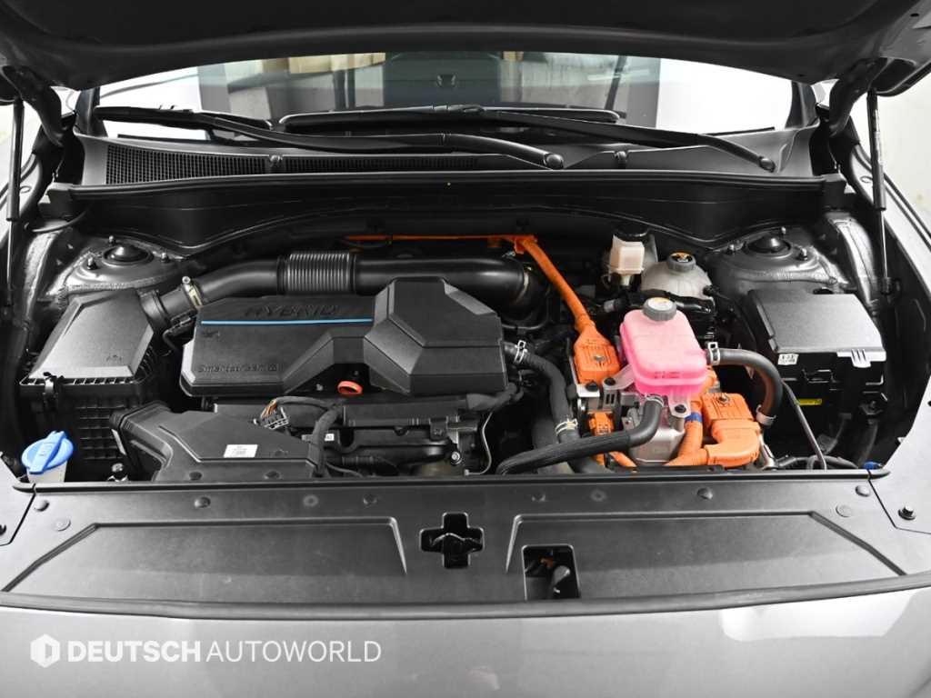 Hyundai Santa Fe 1.6 2WD Calligraphy 7