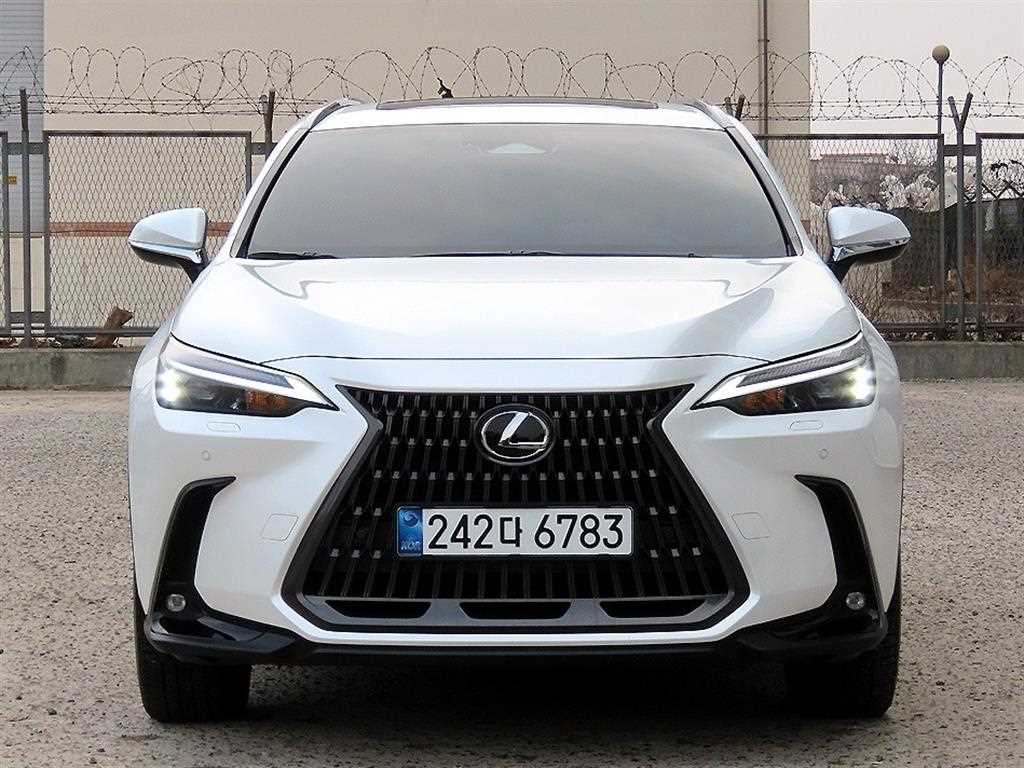 국산차 리스트 차량 이미지