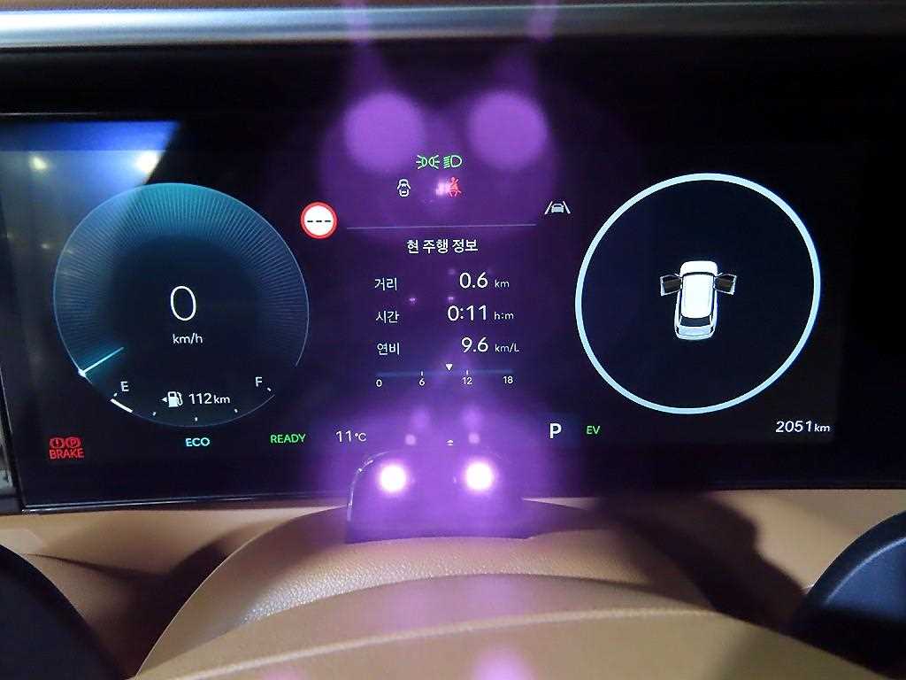 Hyundai Palisade HEV 2.5T 4WD Calligraphy 10