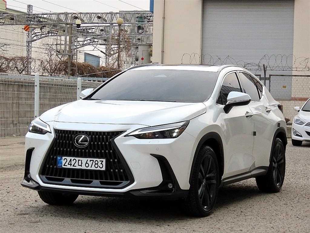 국산차 리스트 차량 이미지