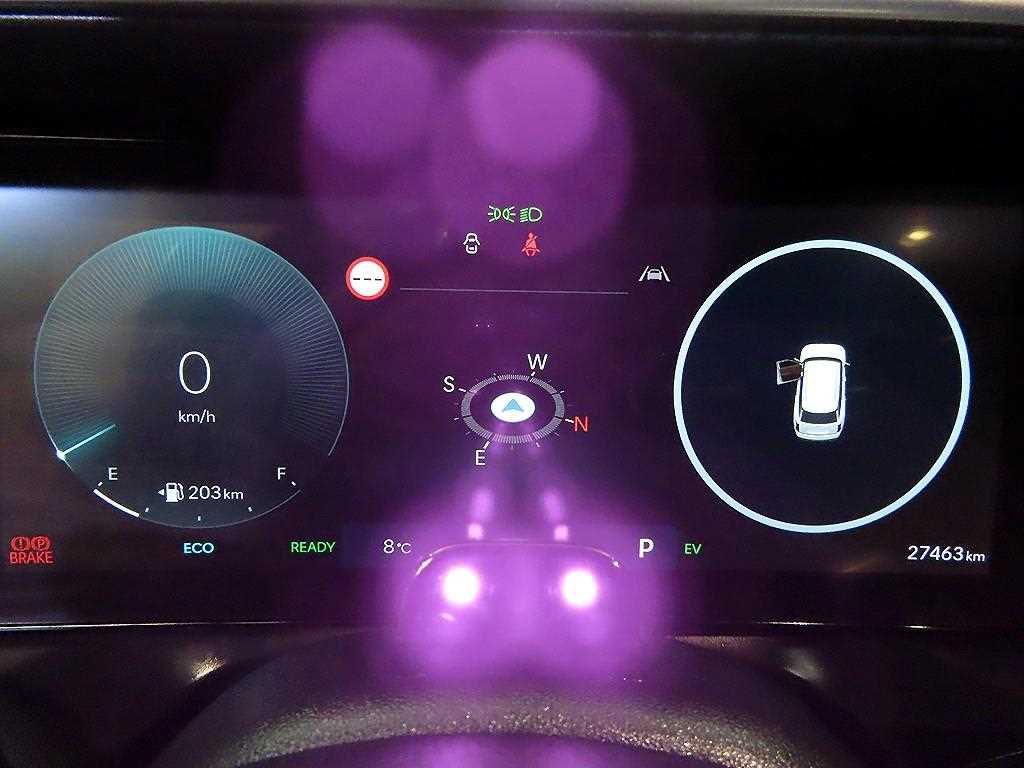 Hyundai Palisade HEV 2.5T 4WD Prestige 10