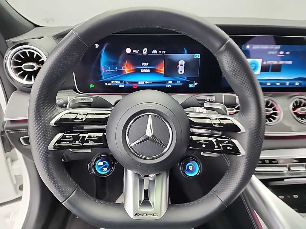 Mercedes-Benz AMG GT 4 Duo 43 4MATIC+ 10