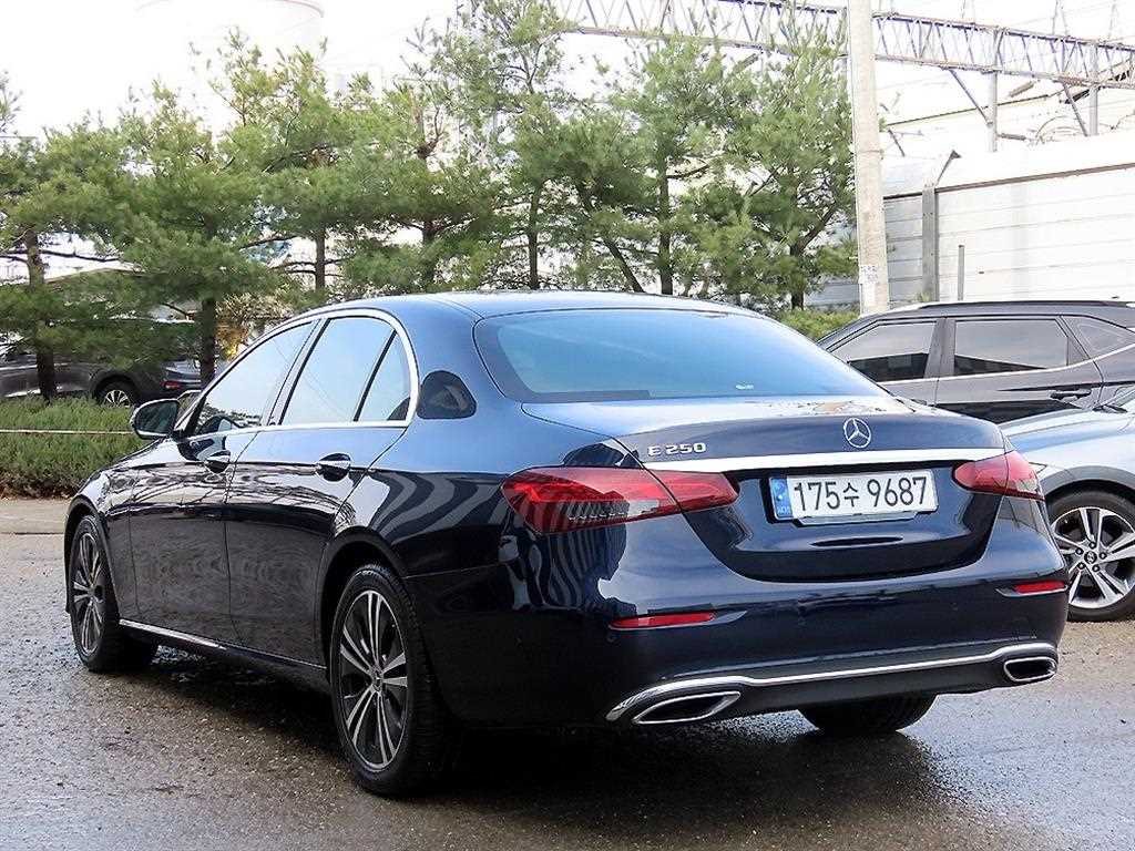 Mercedes-Benz E-Class E250 Avantgarde — фото 3