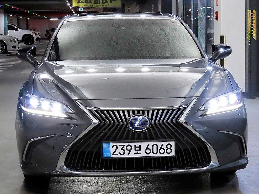 국산차 리스트 차량 이미지