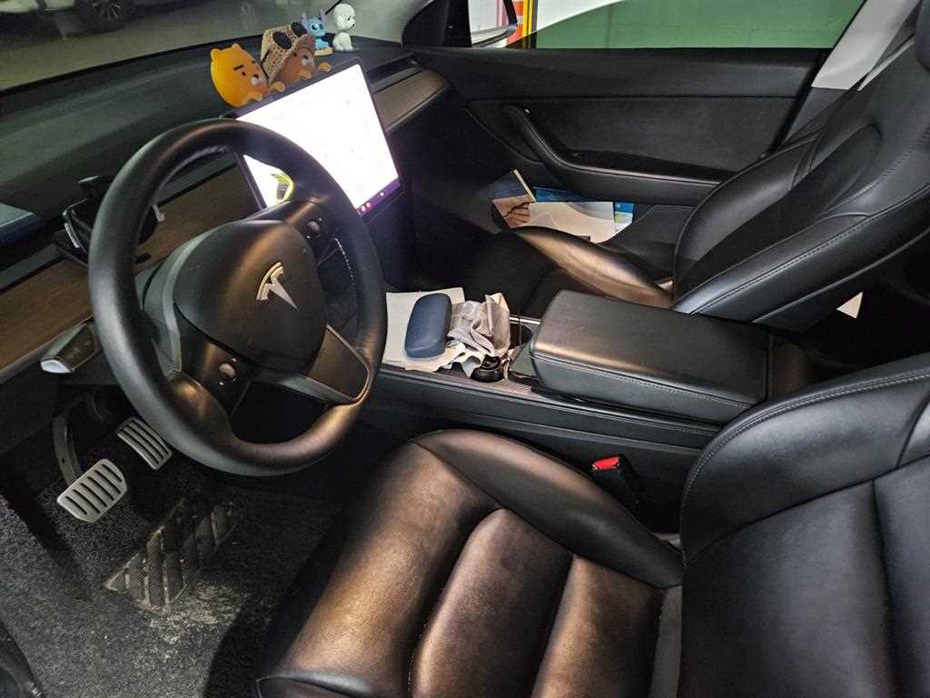 Tesla Model Y Performance 9