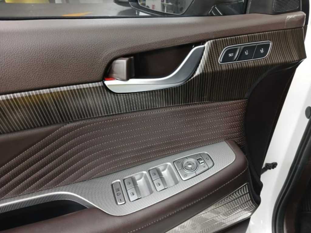 Hyundai Palisade Diesel 2.2 2WD Calligraphy 10