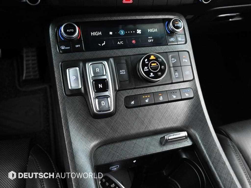 Hyundai Palisade Gasoline 3.8 4WD Prestige 10