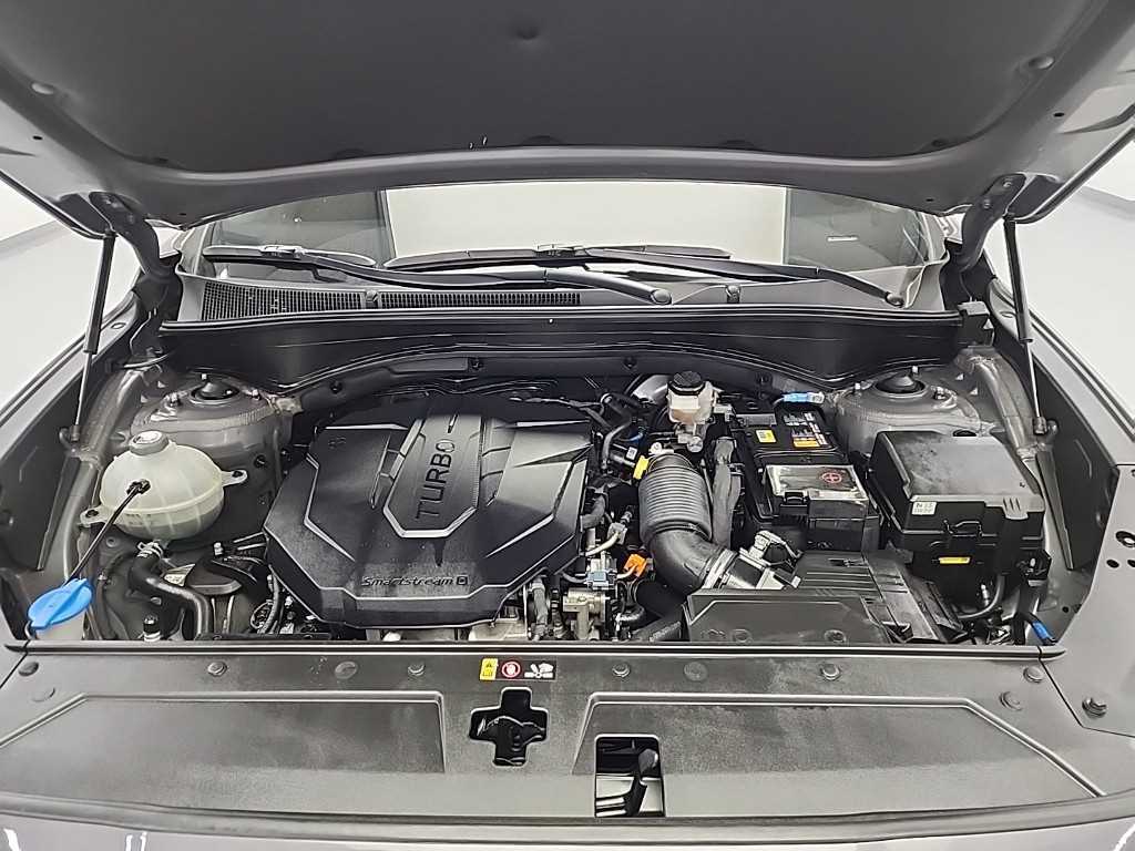 Hyundai Santa Fe Diesel 2.2 4WD Premium Choice 6