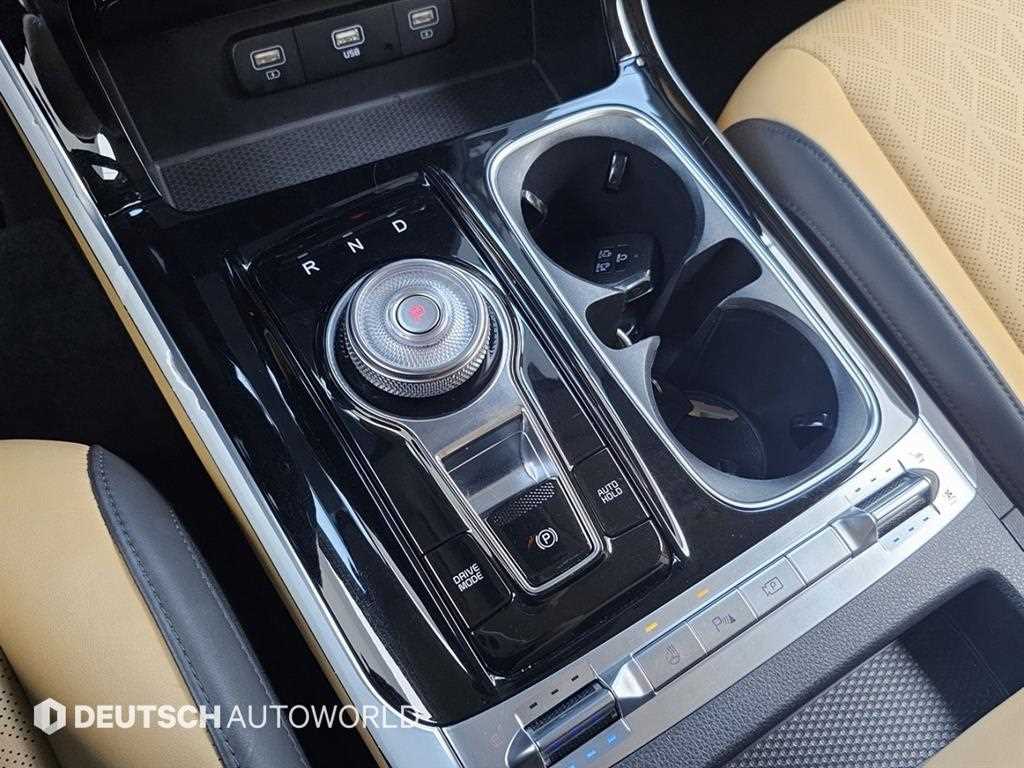 Kia Carnival Gasoline Noblesse 10