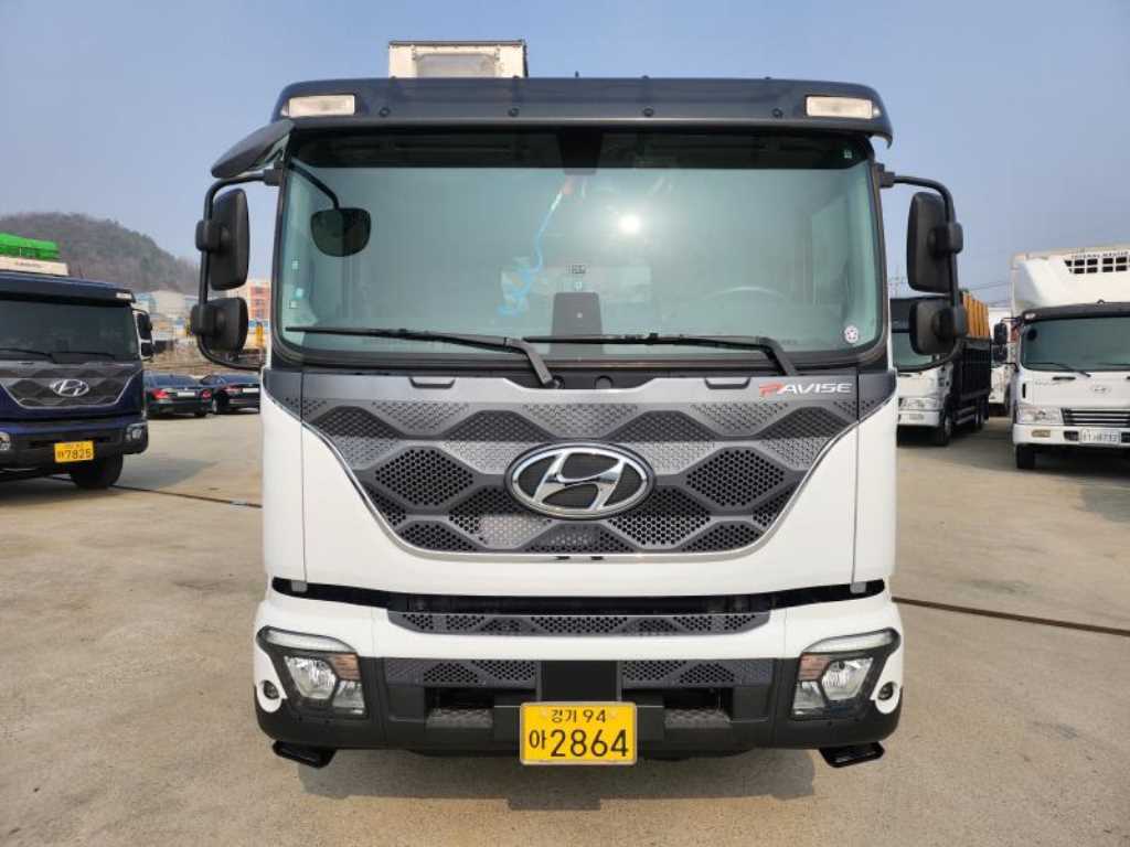 현대 카고크레인 광림 파비스 5톤 - 중고 트럭 매물 이미지