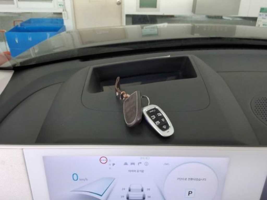 Hyundai IONIQ Long Range Prestige 9