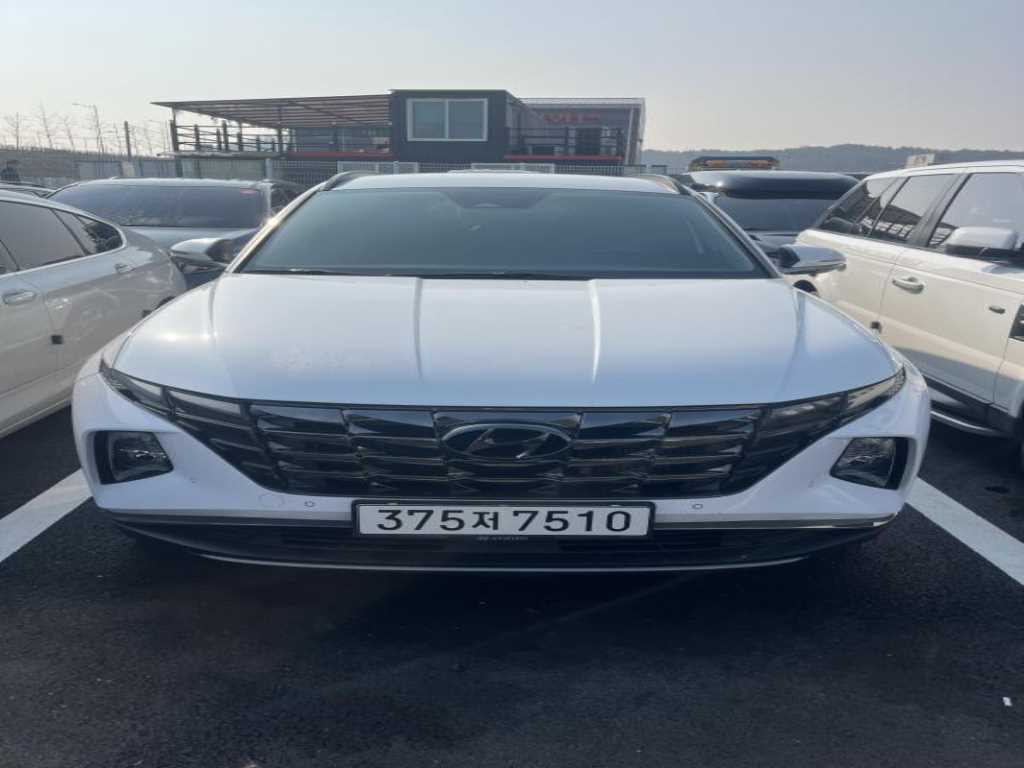 Hyundai Tucson Diesel 2.0 2WD Inspiration 2