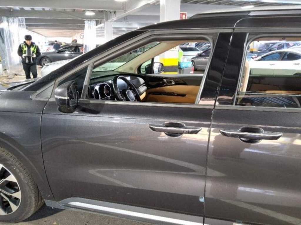 Kia Carnival Diesel Noblesse 3