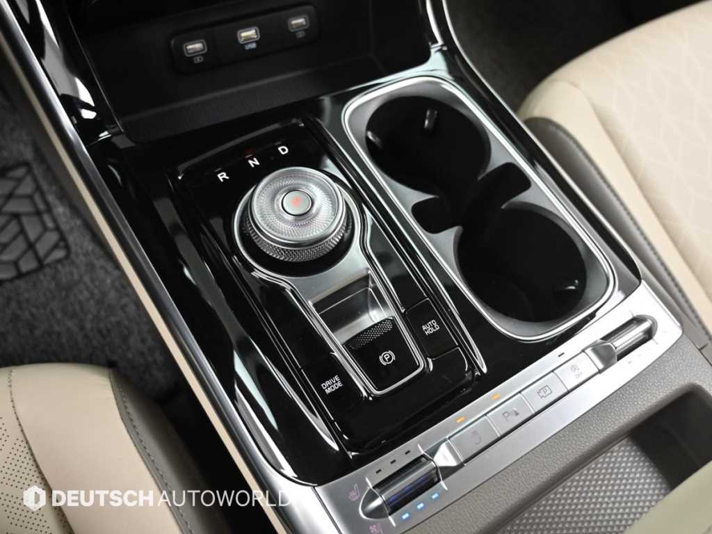 Kia Carnival Diesel Noblesse 10