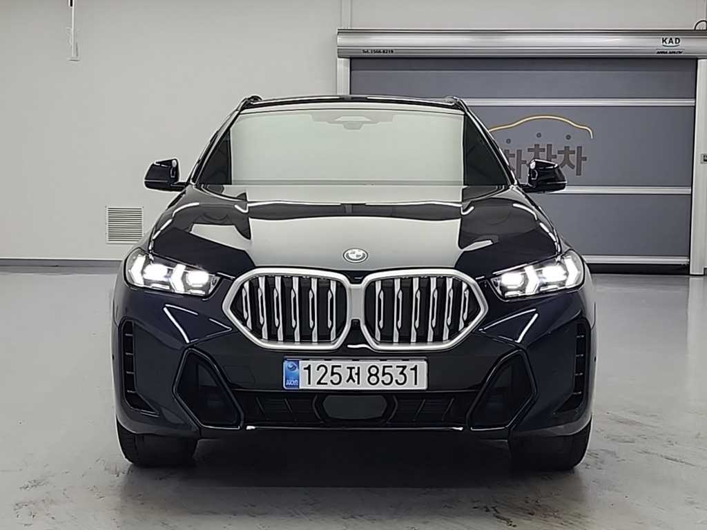 BMW X6 xDrive 40i M 스포츠 사진 2/20