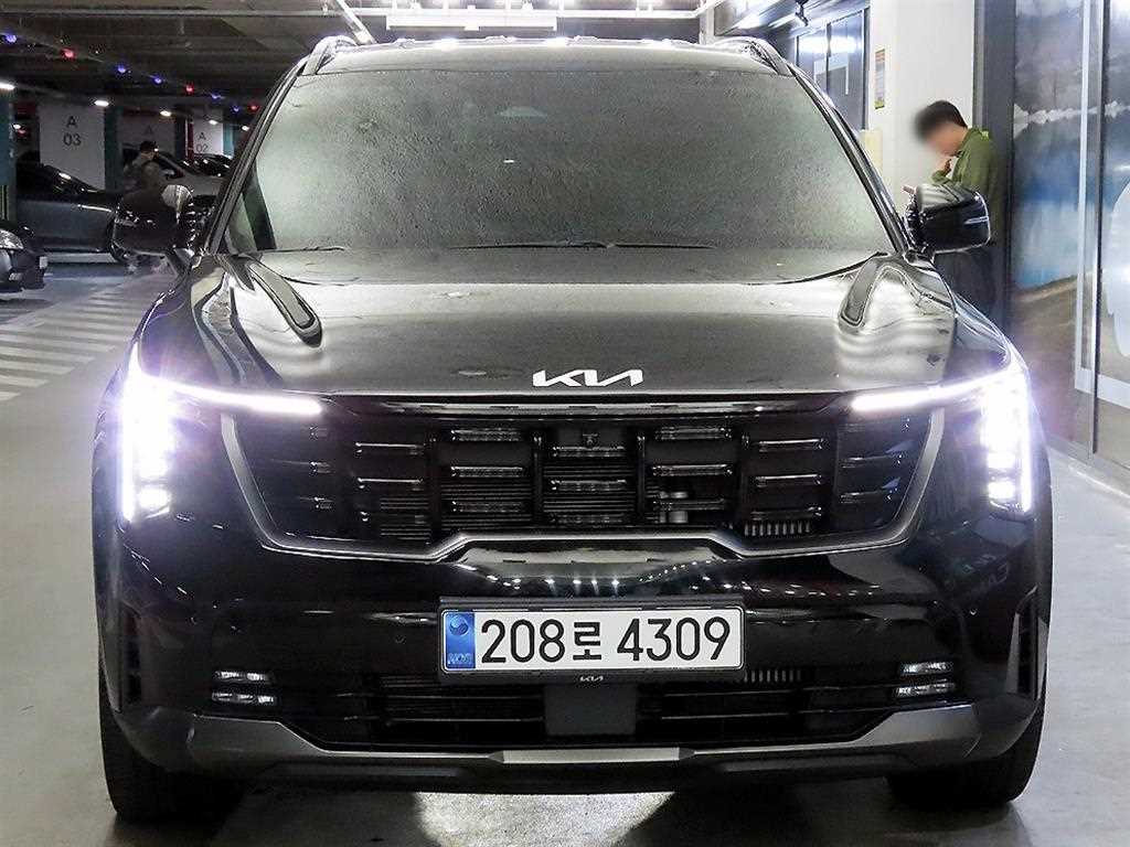 기아 쏘렌토 디젤 2.2 4WD 시그니처 그래비티 사진 2/20