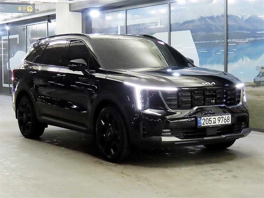 더 뉴 쏘렌토 4세대 디젤 2.2 2WD 시그니처 그래비티 2024년식