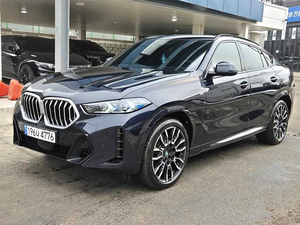 BMW X6 xDrive 30d M 스포츠 사진 2/20